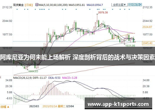 阿库尼亚为何未能上场解析 深度剖析背后的战术与决策因素