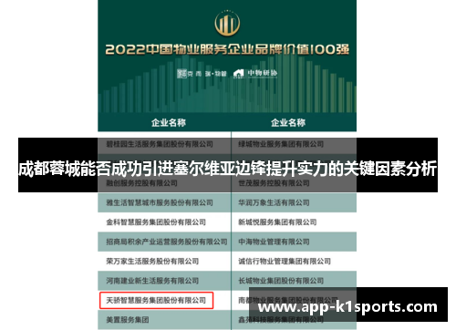 成都蓉城能否成功引进塞尔维亚边锋提升实力的关键因素分析