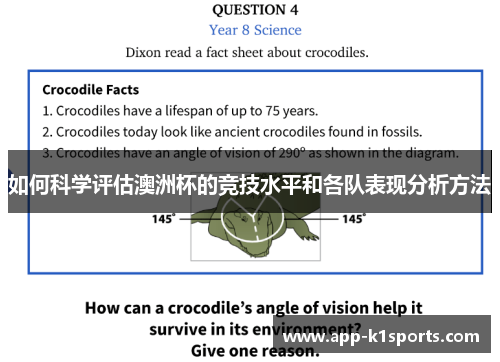 如何科学评估澳洲杯的竞技水平和各队表现分析方法