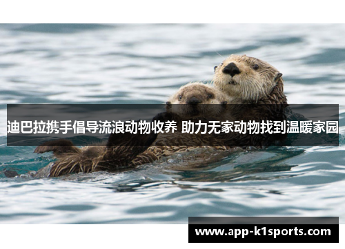 迪巴拉携手倡导流浪动物收养 助力无家动物找到温暖家园